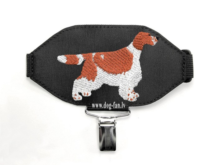 spaniel welsh springer 2(1)(1) copy